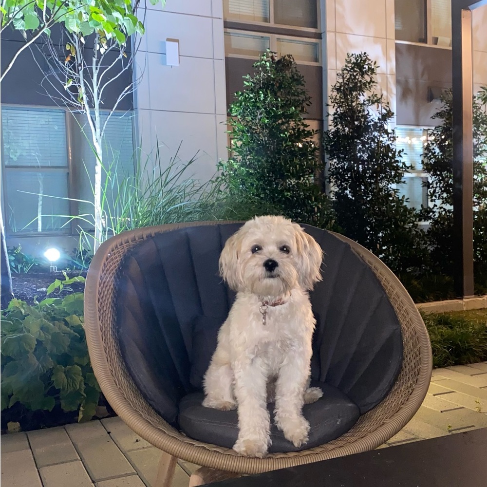 SHARE SHOW | Sharing yours + mine 🌸 - Picture 5 of 11